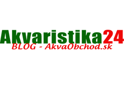 Akvaristika24